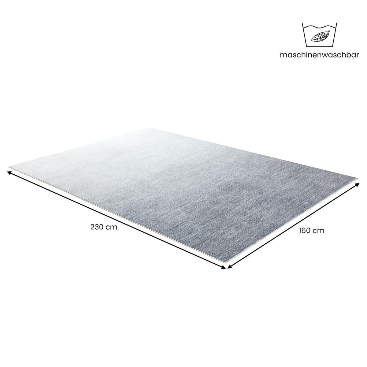 TEPPICH OMBRE - Grau, Textil (160/230cm) - IDIMEX