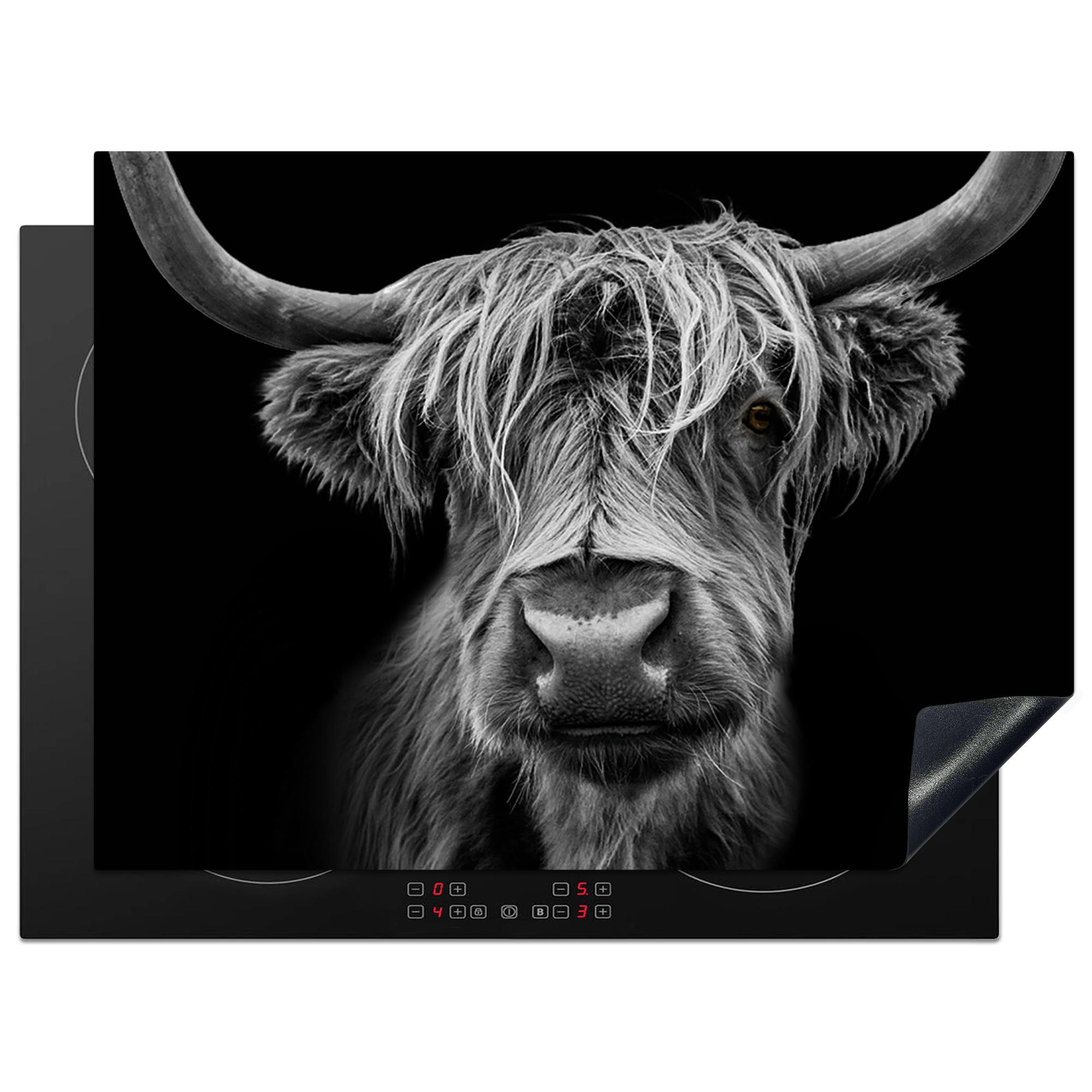 HERDABDECKPLATTE Schottischer Highlander - Hörner - Schwarz - Weiß - Kuh - Wild - Tiere Induktionsmatte 71x52 cm - Schwarz, Kunststoff (71/52/0.2cm) - MuchoWow