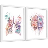 POSTER Set aus 2 Anatomie Mensch Drucke und mit Lungen Luftröhre Bronchien und Gehirn Pastellfarbenes Florales Aquarell Größe Weißer Rahmen A3 - Weiß, Papier (29.7/42/3cm) - Nacnic