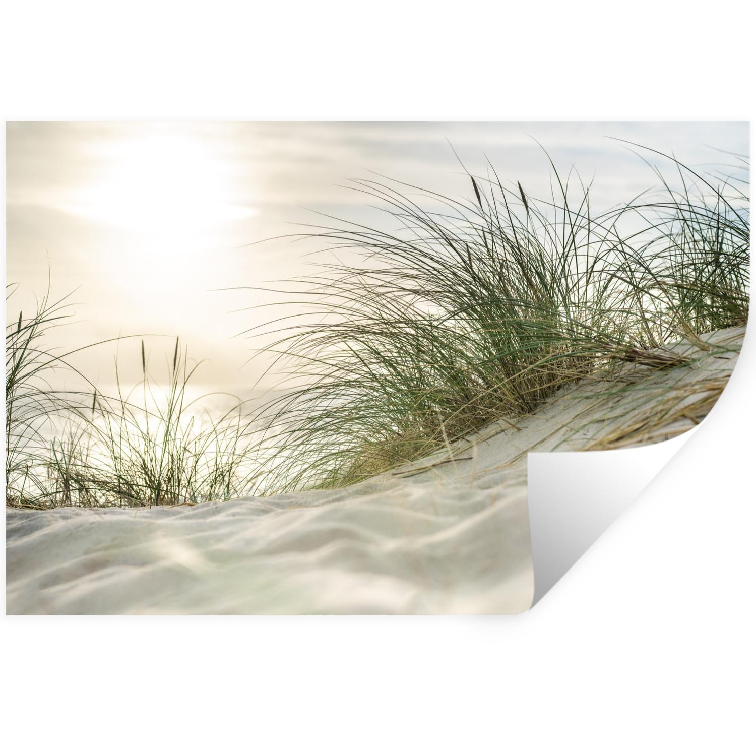 WANDTATTOO Dünen mit Strandhafer in der Sonne des Nationalparks Schleswig-Holsteinisches Wattenmeer Wandsticker 120x80 cm - Creme, Kunststoff (120/80/0.1cm) - MuchoWow