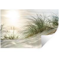 WANDTATTOO Dünen mit Strandhafer in der Sonne des Nationalparks Schleswig-Holsteinisches Wattenmeer Wandsticker 120x80 cm - Creme, Kunststoff (120/80/0.1cm) - MuchoWow