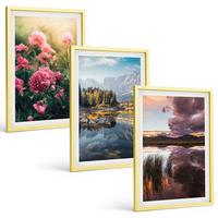 BILDER SET 3er Set - 40x60 cm Goldrahmen - Blumengarten Berge Wasser - Goldfarben, Kunststoff (40/60cm) - TULUP