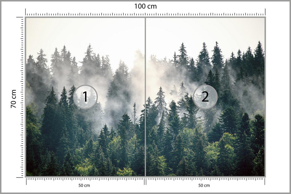 FOTOTAPETE für Wohnzimmer Nebeliger Nadelwald Berg Mystik Bäume 100x70 - Weiß/Grün, Papier (100/70cm) - Muralo