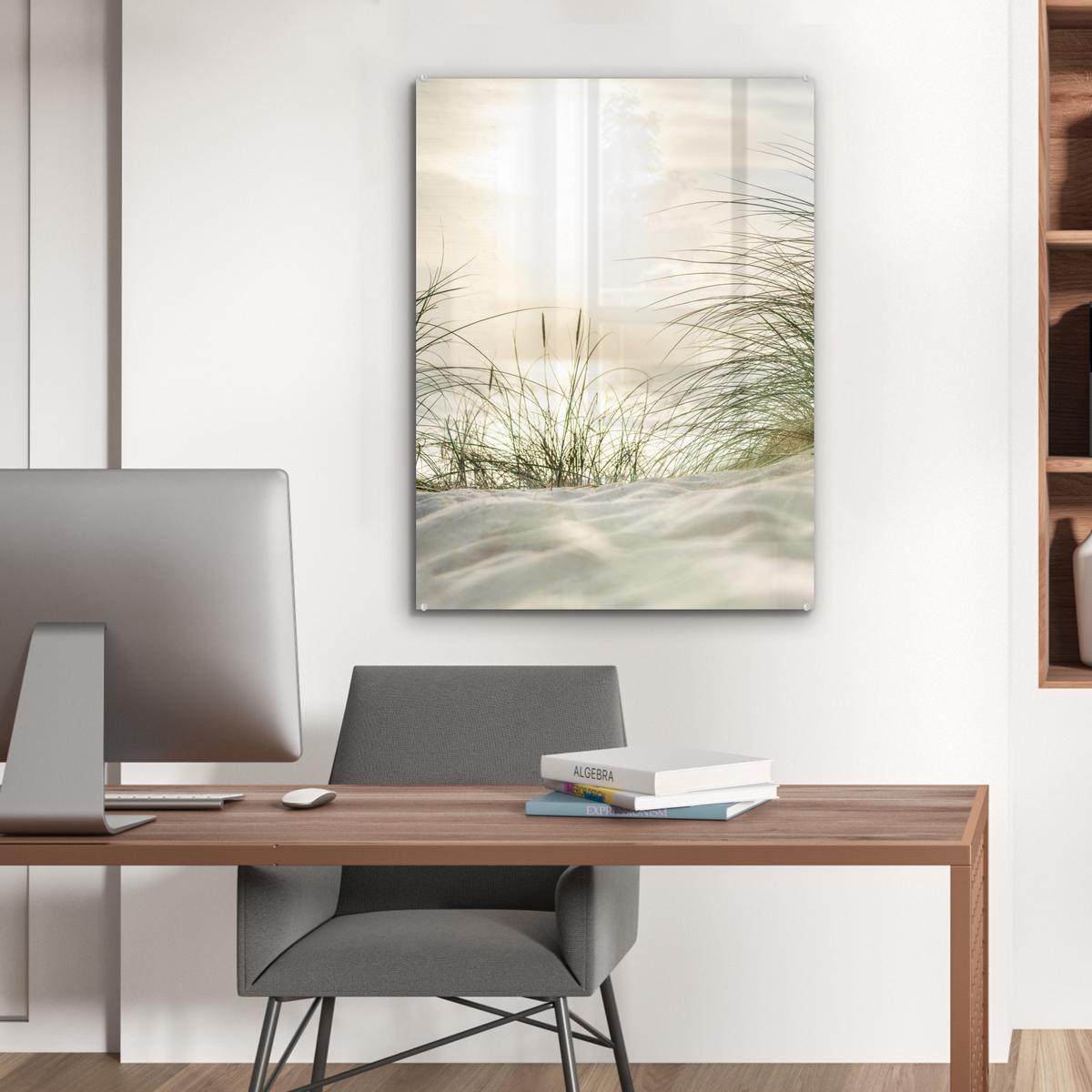 ACRYLGLASBILD Dünen mit Strandhafer in der Sonne des Nationalparks Schleswig-Holsteinisches Wattenmeer 60x80 cm - Creme, Glas (60/80cm) - MuchoWow