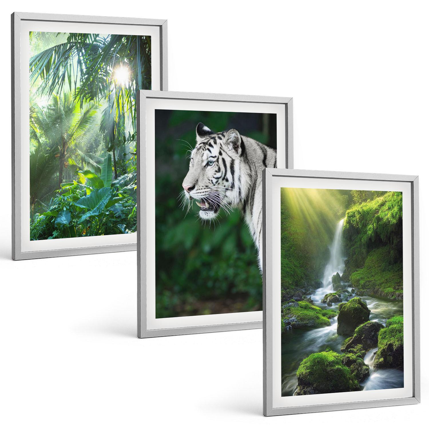 BILDER SET 3er Set - 40x60 cm Silberner Rahmen - Dschungeltigerwasserfall - Silberfarben, Kunststoff (40/60cm) - TULUP