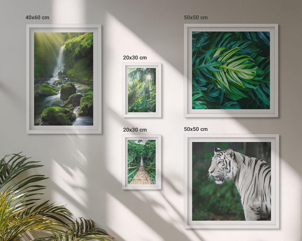 BILDER SET 5er Set - 50x50 cm & 20x30 cm & 40x60 cm Weißer Rahmen - Dschungel-Weißtiger-Wasserfall - Weiß, Kunststoff (40/60cm) - TULUP