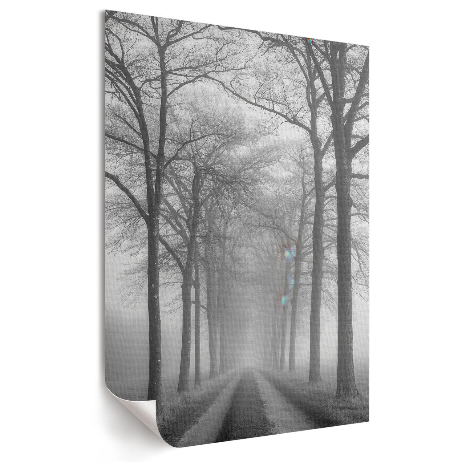 POSTER - 59x84 cm - Nevara - Nebel auf der Straße - Schwarz, Textil (59/84/0.1cm) - TULUP