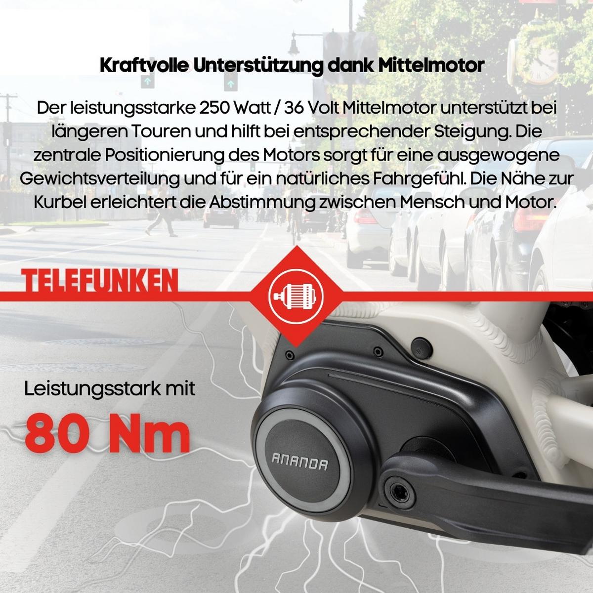 E-BIKE Cityrad RC680 Elektrofahrrad 28 Zoll Mittelmotor 10-Gang Kettenschaltung 705,6 Wh Pedelec - Grau, Metall (115cm) - Telefunken
