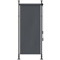 SENKRECHTMARKISE, Polyester, Dunkelgrau - Dunkelgrau, Metall (2.8/310/120cm) - Outsunny