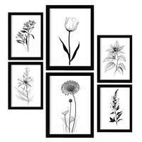 POSTER Set Mit 6 Kleine Blumen Blumenmotiven In Klassischem Schwarz Und Weiß A3 & A4 Rahmenlos - Klar, Papier (29/3cm) - Nacnic