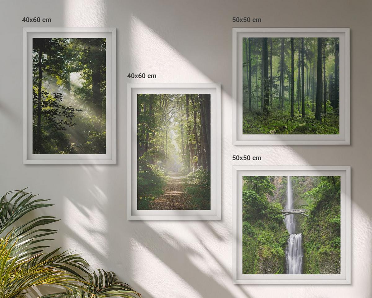 BILDER SET 4er Set - 50x50 cm & 40x60 cm Weißer Rahmen - Grüne Wälder, Lichtstrahlen - Weiß, Kunststoff (50/50cm) - TULUP