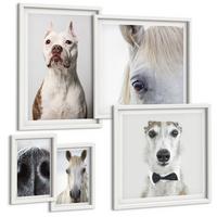 BILDER SET 5er Set - 50x50 cm & 20x30 cm & 40x60 cm Weißer Rahmen - Elegante Porträts von Hunden und Pferden - Weiß, Kunststoff (40/60cm) - TULUP