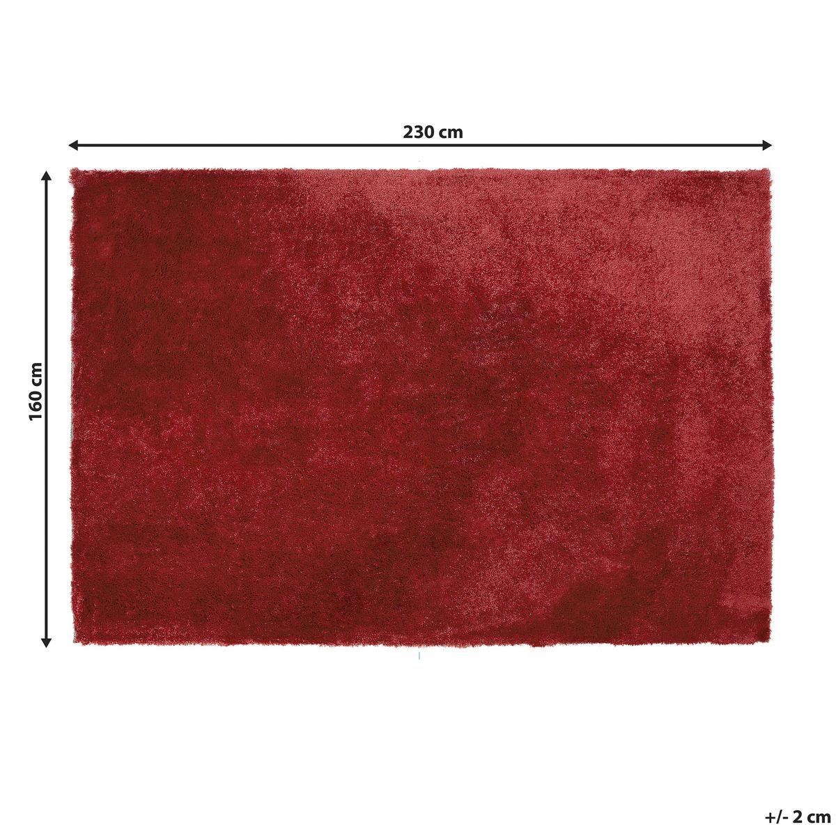 SHAGGY-TEPPICH Evren 230/160 cm - Rot, Kunststoff (160/230cm) - Beliani