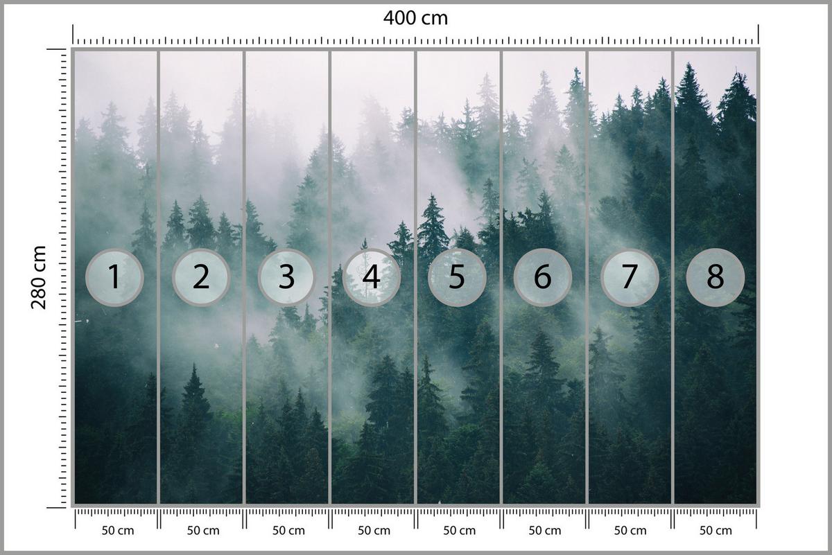 FOTOTAPETE Wald im Nebel Landschaft Natur 3D 400x280 - Türkis/Grau, Papier (400/280cm) - Muralo
