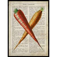 POSTER Karotten . A4 Rahmenlos - Klar, Papier (29.7/5/21cm) - Nacnic