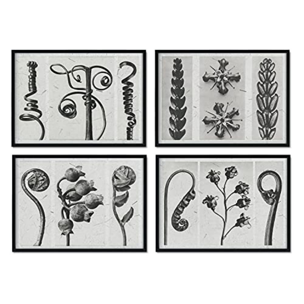 POSTER Set mit 4 von CurlBlättern Blumen und Pflanzen in Grausteinen A3 Rahmenlos - Klar, Papier (29.7/3cm) - Nacnic