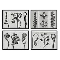 POSTER Set mit 4 von CurlBlättern Blumen und Pflanzen in Grausteinen A4 Schwarzer Rahmen - Schwarz, Papier (29.7/3cm) - Nacnic