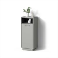MIDISCHRANK Temo Grau 38 x 93 cm - Grau, Holzwerkstoff (38/93/30cm) - Livinity®