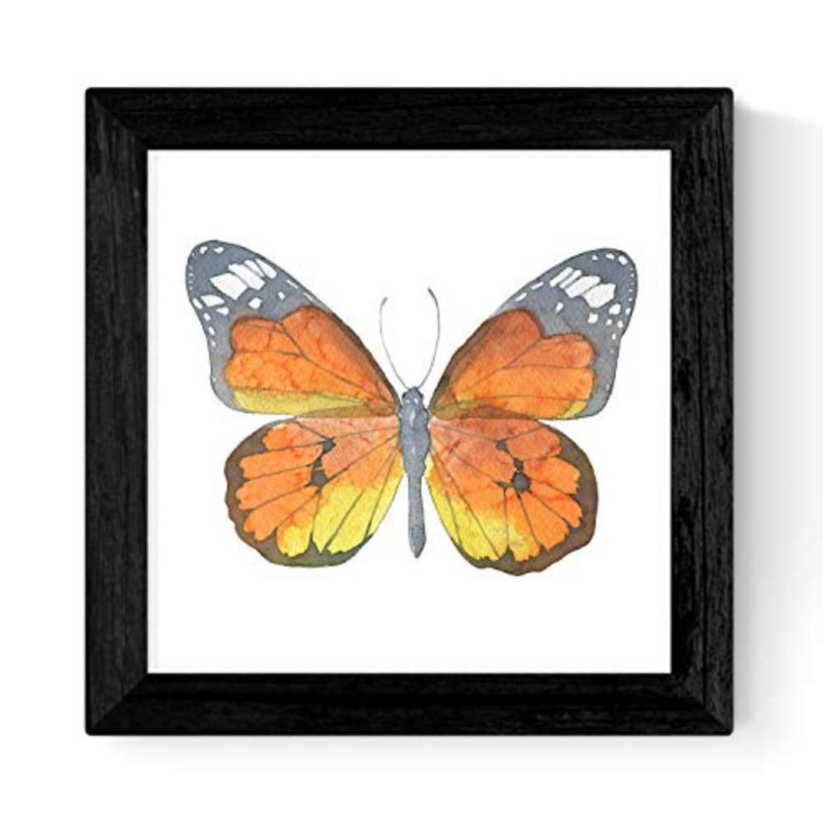 POSTER Set mit 4 Schmetterlinge 25x25 cm Schwarzer Rahmen - Schwarz, Papier (25/3cm) - Nacnic