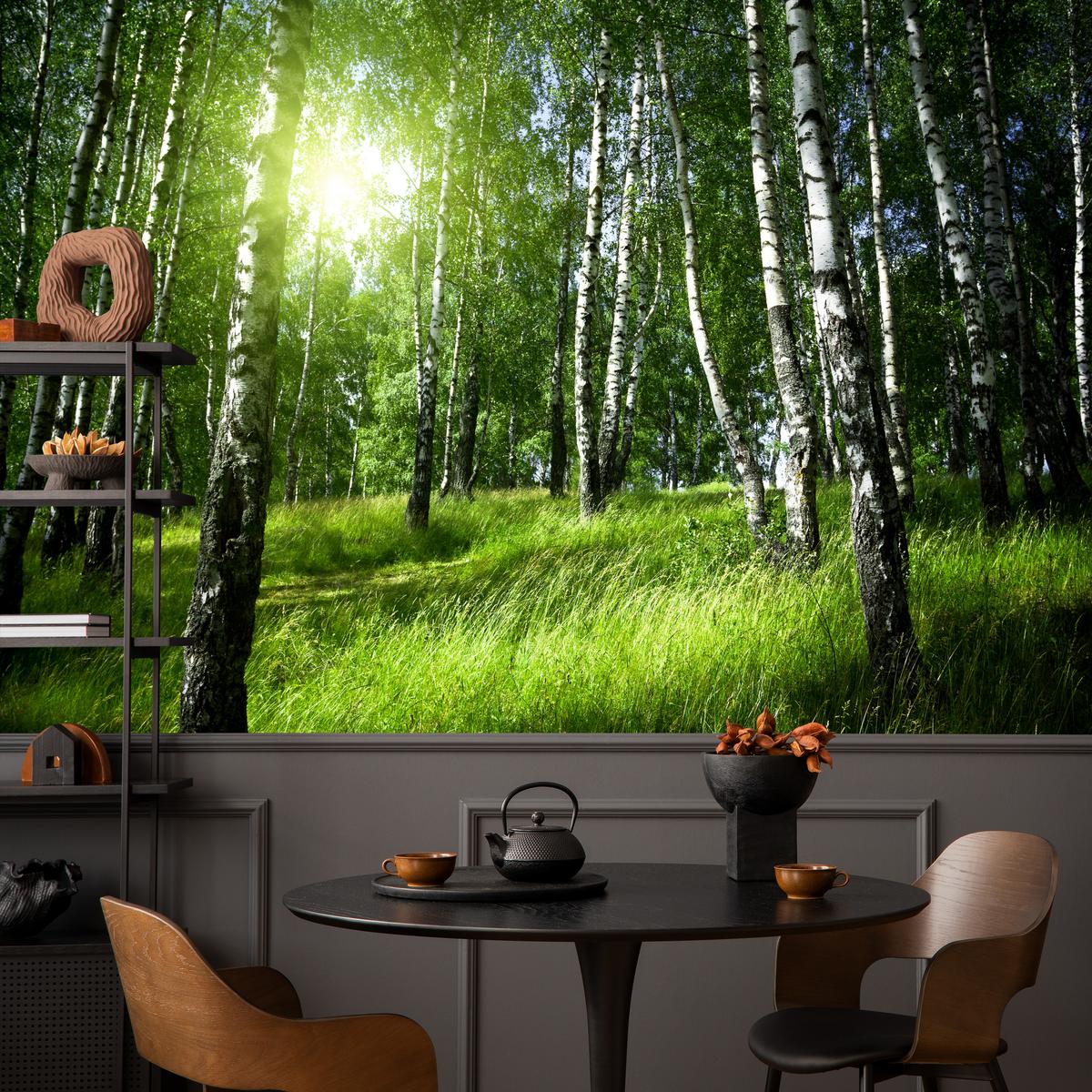 FOTOTAPETE für Wohnzimmer Grüner Birkenwald Gras Sonne Natur 400x280 - Schwarz/Weiß, Papier (400/280cm) - Muralo