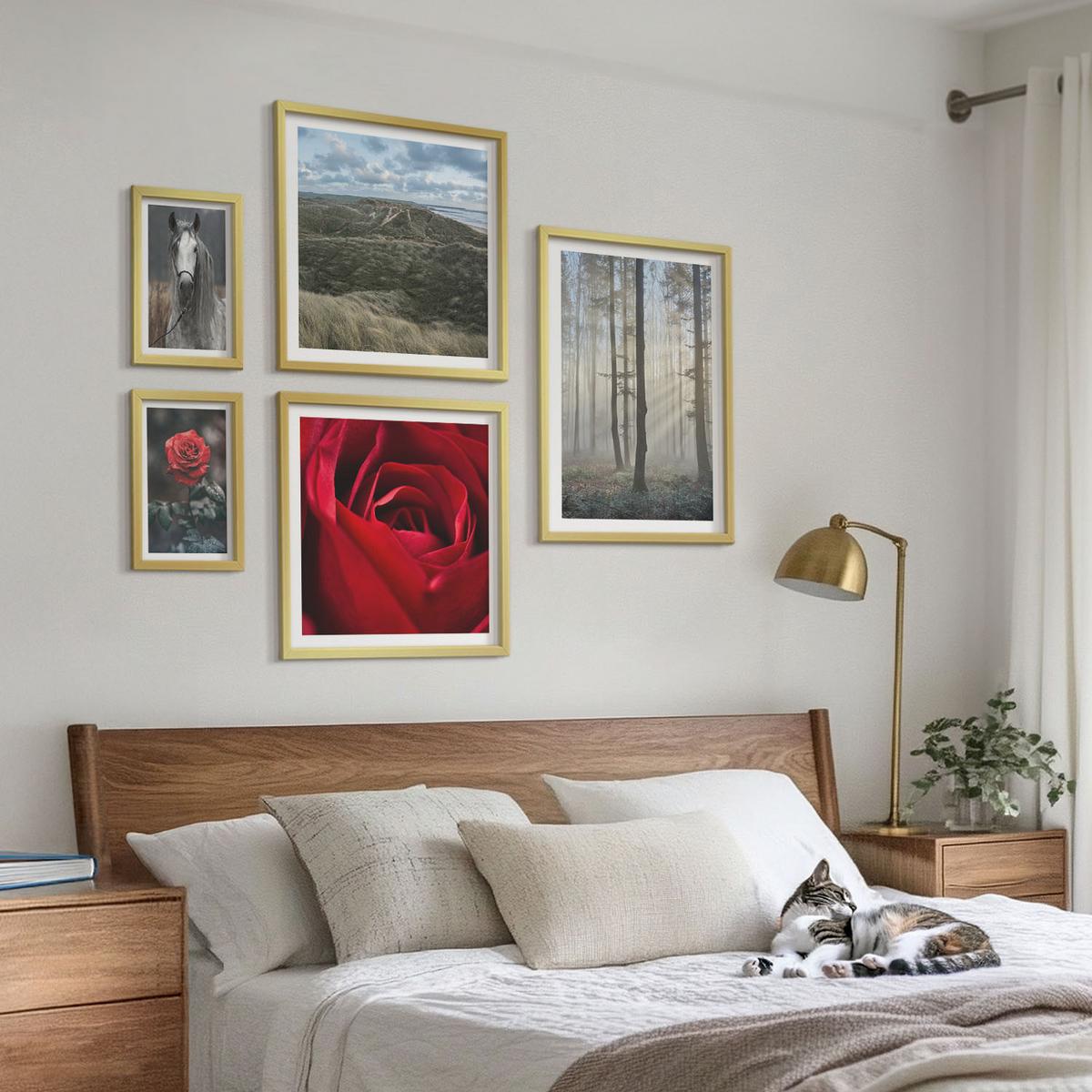 BILDER SET 5er Set - 50x50 cm & 20x30 cm & 40x60 cm Goldrahmen - Rote Rosen auf pferdegrauem Hintergrund - Goldfarben, Kunststoff (40/60cm) - TULUP