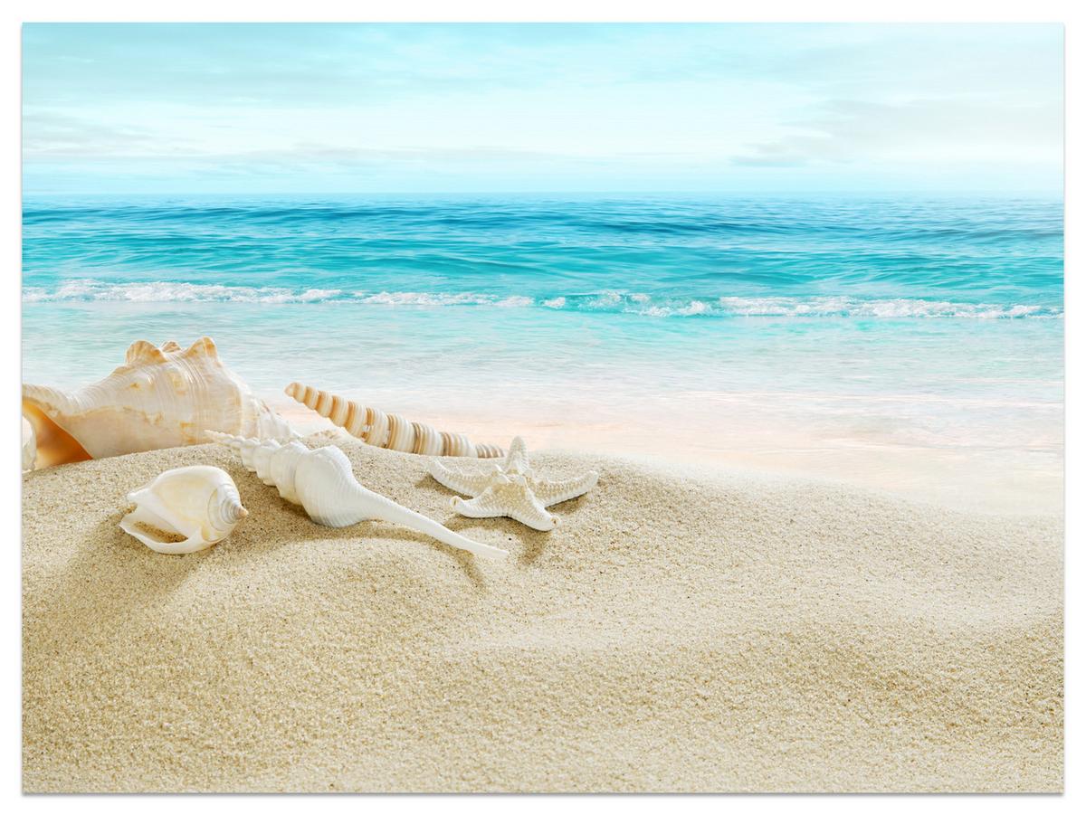 FOTOTAPETE für Badezimmer Muscheln Strand Sand Wellen Meer 500x350 - Beige/Weiß, Papier (500/350cm) - Muralo