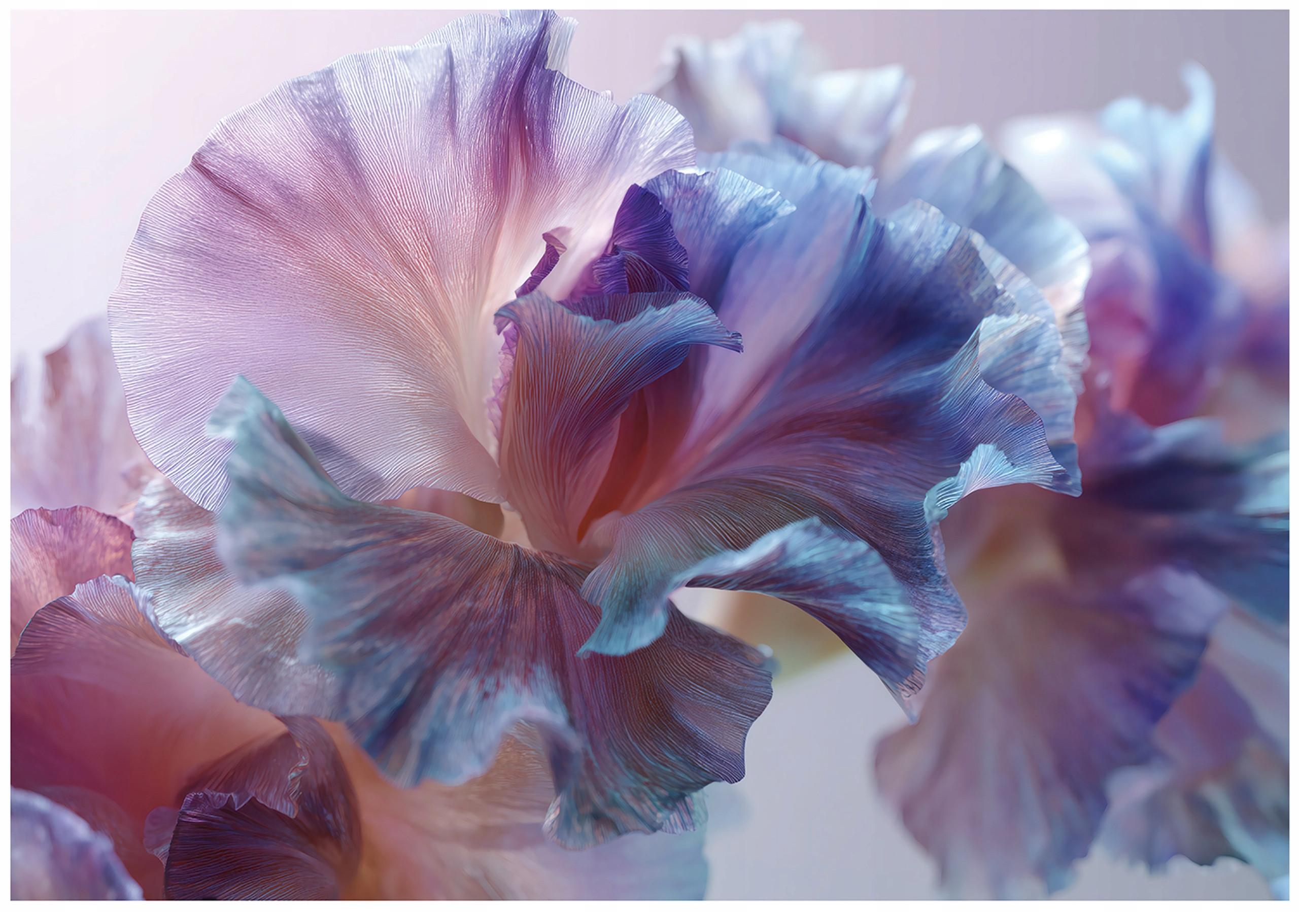 FOTOTAPETE Blumen Abstrakt Lila 250x175 cm - Multicolor, Papier (250/175cm) - Wallarena