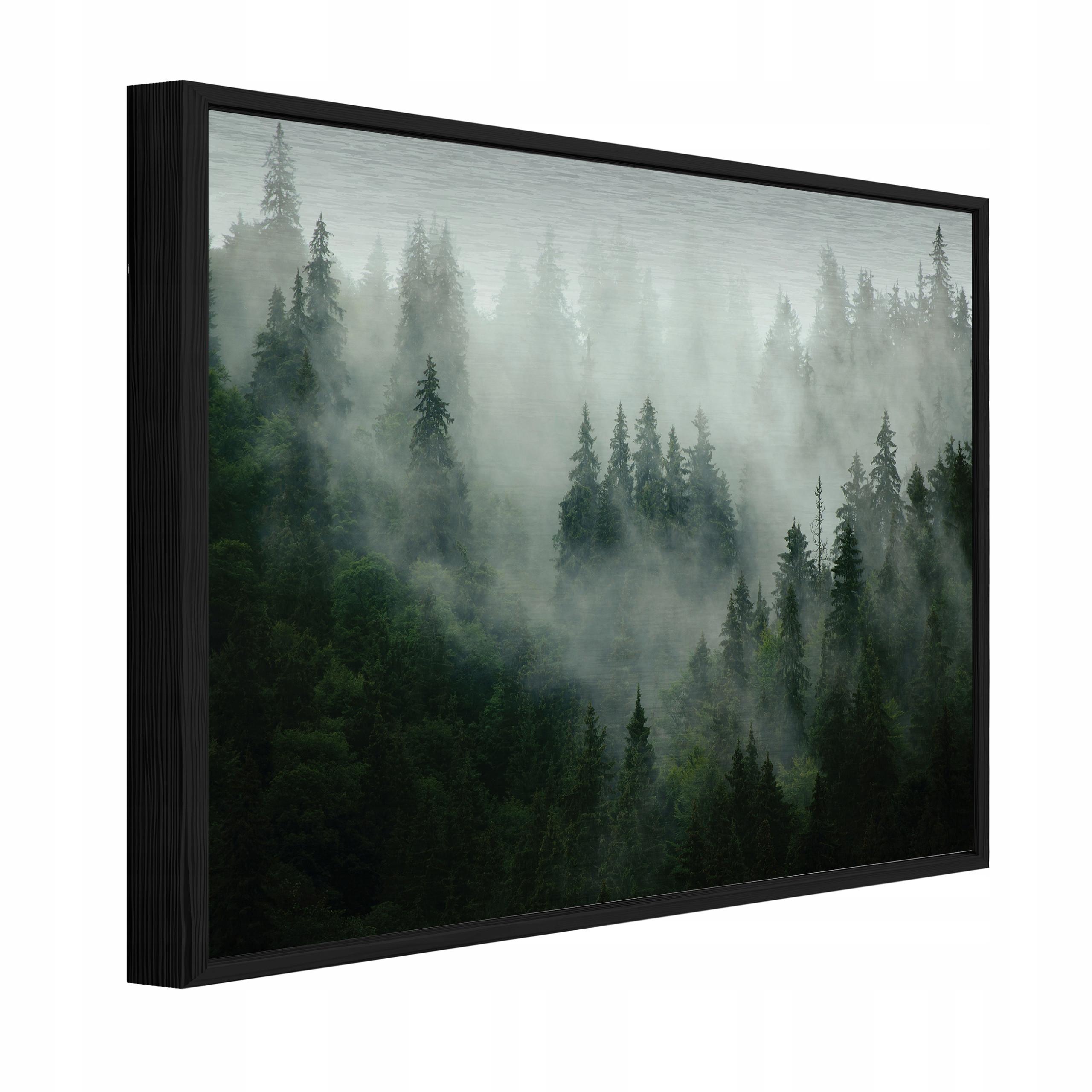 BILDER mit Rahmen Wald im Nebel Natur Grün 150x100 cm - Multicolor, Metall (150/100cm) - Wallarena