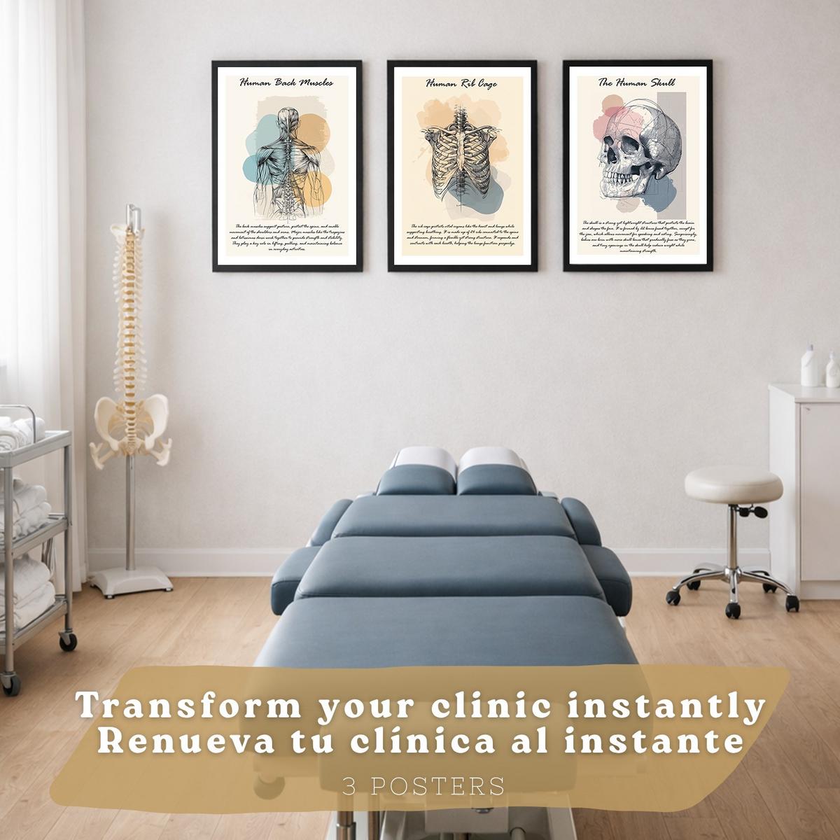 POSTER Set aus 3 Anatomie Mensch Lernposter Drucke und Wandbilder mit Muskeln Rücken Brustkorb Schädel Wanddekoration Größe Schwarzer Rahmen A3 - Schwarz, Papier (29.7/42/3cm) - Nacnic