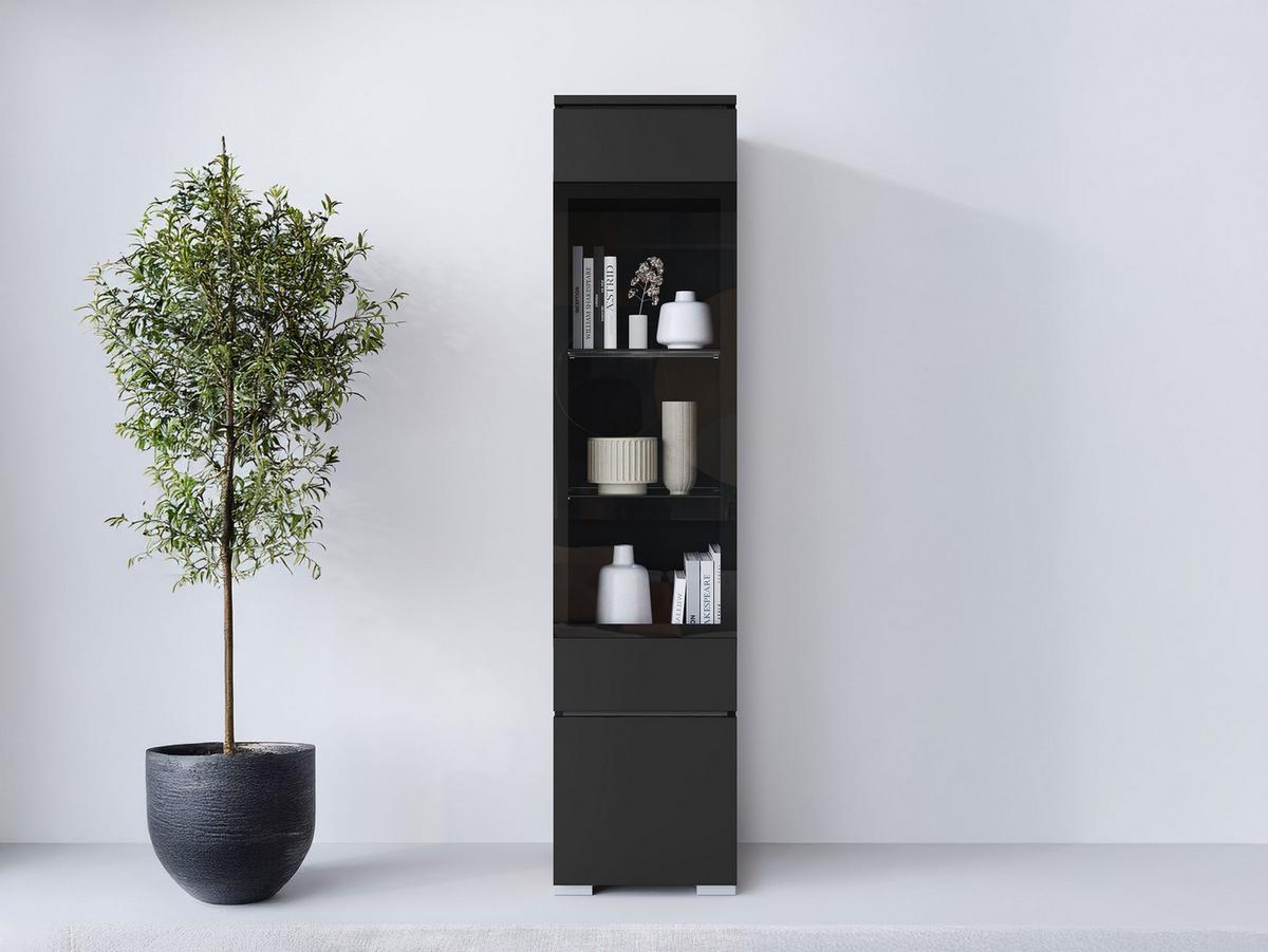 HÄNGEVITRINE Vera 002 mit LED Beleuchtung - Graphitfarben/Alufarben, Holzwerkstoff/Kunststoff (30/130/33cm) - MIRJAN24