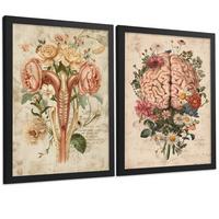 POSTER Set aus 2 Weibliche Anatomie Drucke und Wandbilder mit Gehirn und Gebärmutter Botanischer Retro Vintage Floraler Stil Größe Schwarzer Rahmen A3 - Schwarz, Papier (29.7/42/3cm) - Nacnic