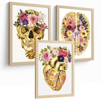 POSTER Set aus 3 Anatomie Mensch Drucke und mit Schädel Gehirn und Herz Goldene Florale Künstlerische Illustration Größe Leichter Holzrahmen A3 - Beige, Papier (29.7/42/3cm) - Nacnic