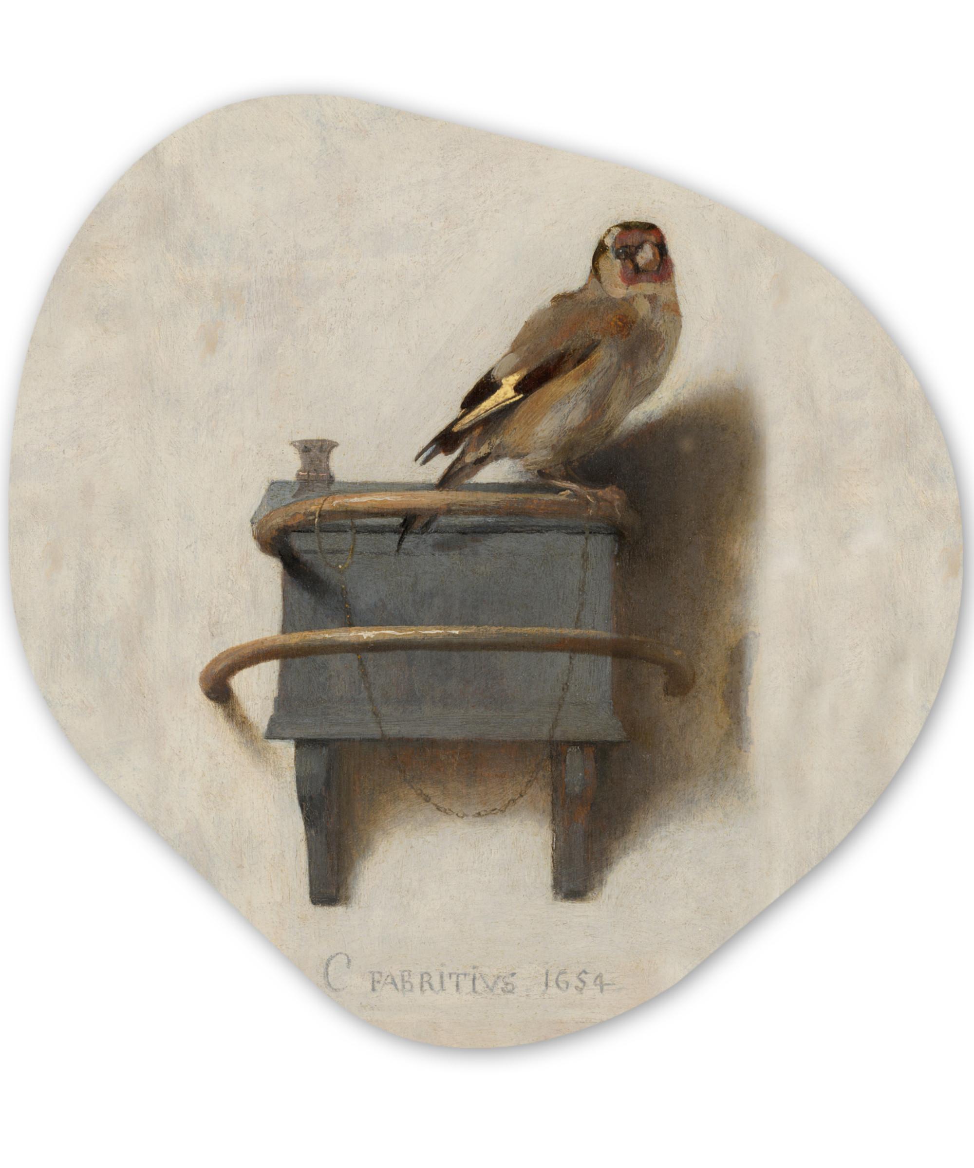 WANDBILD Stieglitz - Alter Meister - Carel Fabritius Wanddeko 40x40 cm - Grau, Kunststoff (40/40cm) - MuchoWow