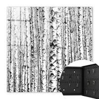 SCHLÜSSELBOX Schwarz 30x30 cm- Türöffnung nach rechts - Birkenwald - Weiß, Metall (30/30/5cm) - TULUP