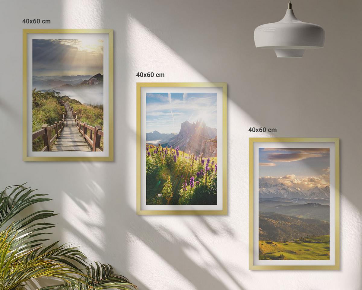 BILDER SET 3er Set - 40x60 cm Goldrahmen - Berglandschaft mit Blumen - Goldfarben, Kunststoff (40/60cm) - TULUP