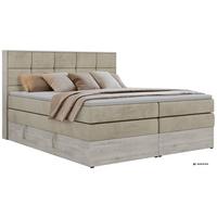 BOXSPRINGBETT ALNOR KING 140/200 - Beige Velvet - Topper T25 - H4 - Beige/Schwarz, Kunststoff/Textil (140/200cm) - MKS