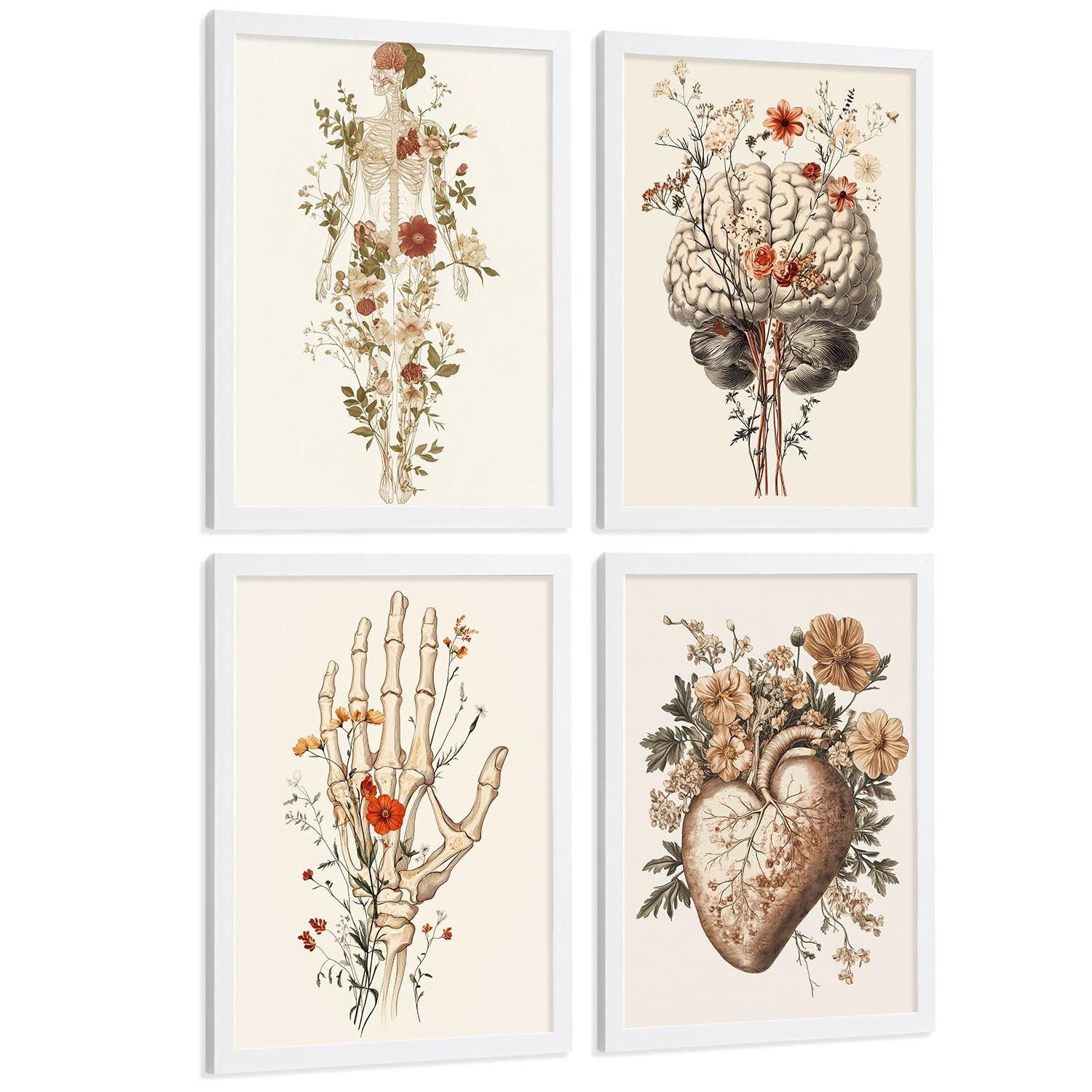 POSTER Set aus 4 Anatomie Mensch Dekorative Drucke und Wandbilder mit Blumen Ganzkörper Gehirn Hand und Herz Stil Größe Weißer Rahmen A3 - Weiß, Papier (29.7/42/3cm) - Nacnic