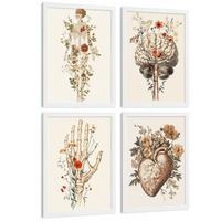 POSTER Set aus 4 Anatomie Mensch Dekorative Drucke und Wandbilder mit Blumen Ganzkörper Gehirn Hand und Herz Stil Größe Weißer Rahmen A3 - Weiß, Papier (29.7/42/3cm) - Nacnic