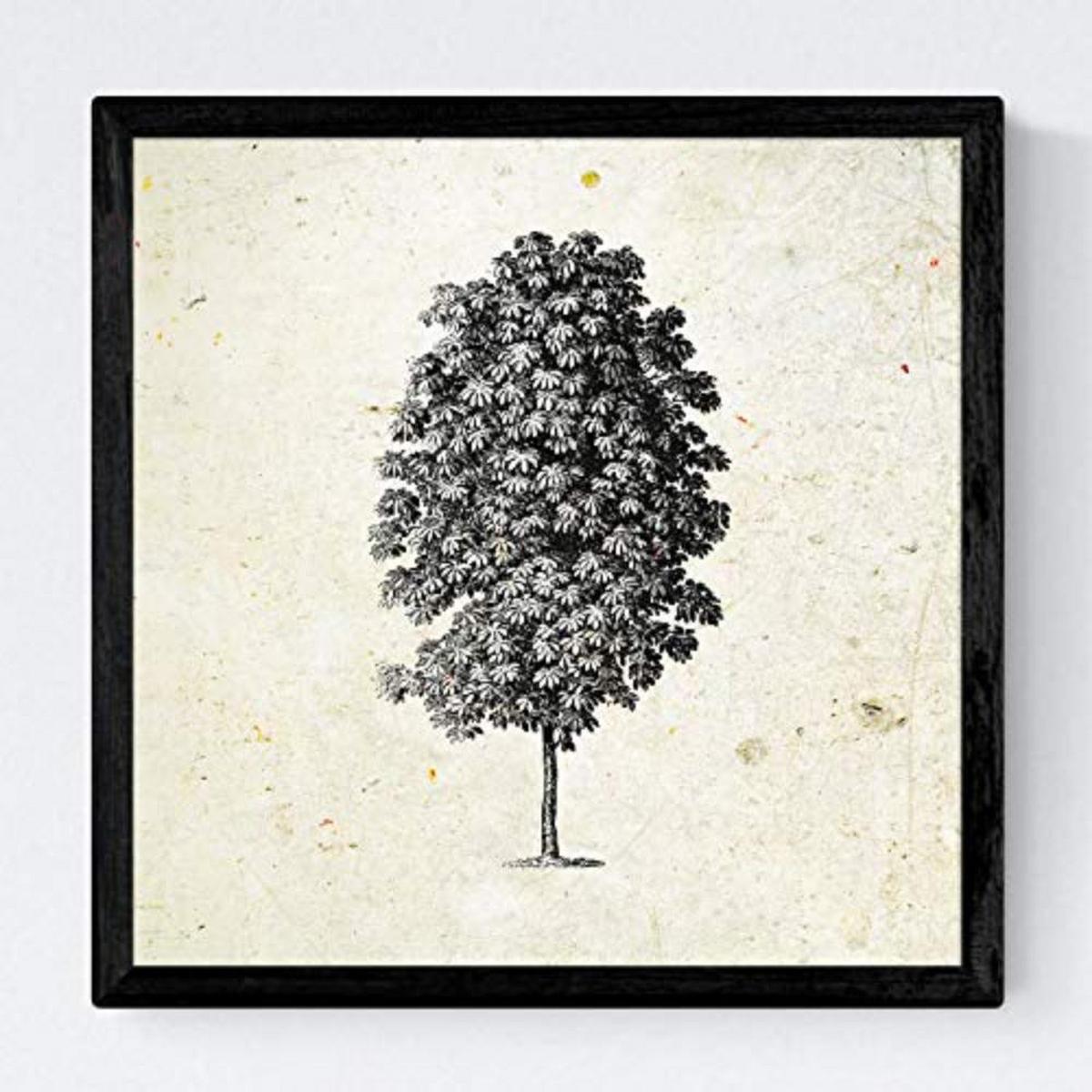 POSTER Set mit 4 Blättern der Baumstamm in feinen, weißen 20x20cm Schwarzer Rahmen - Schwarz, Papier (20/3cm) - Nacnic