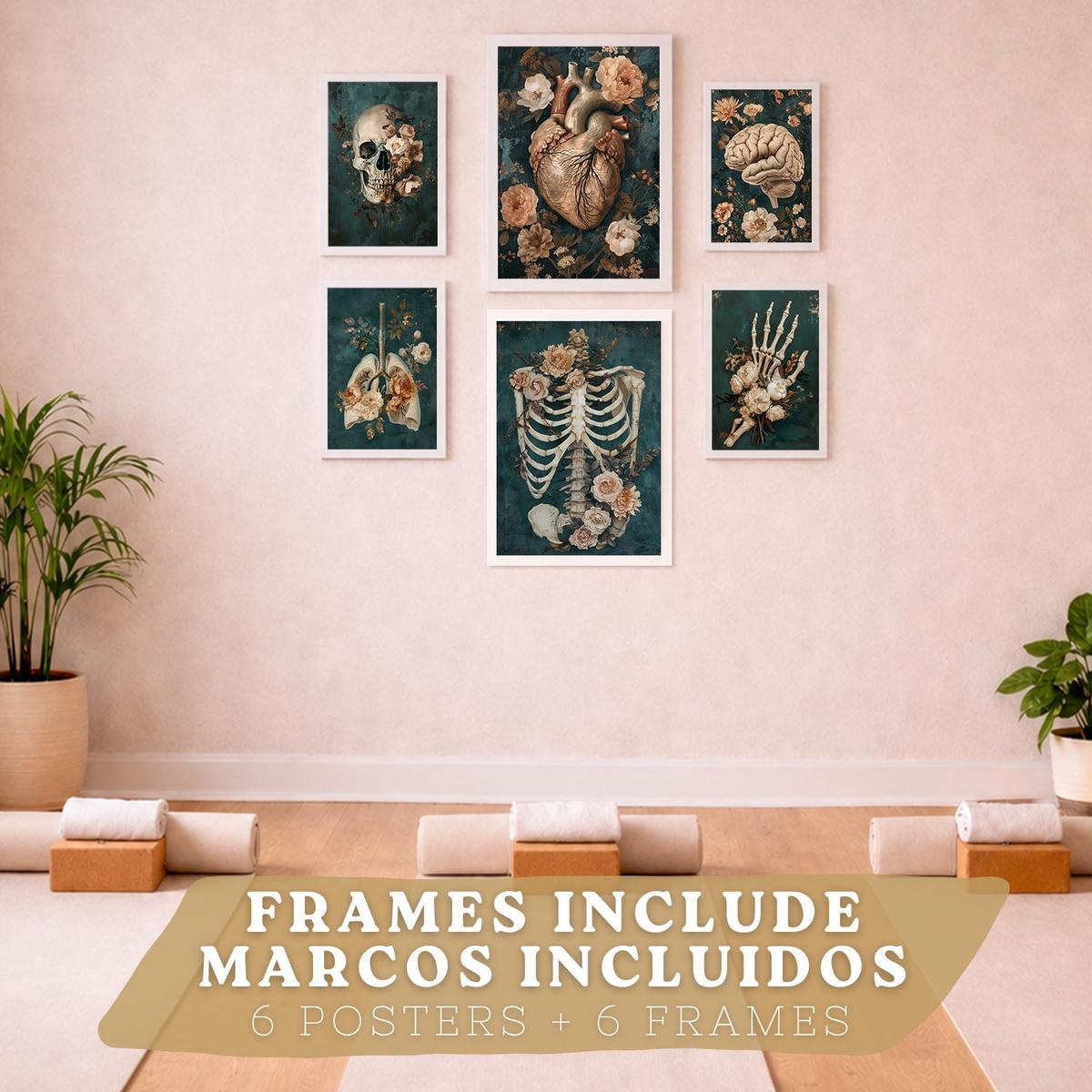 POSTER Kollektion aus 6 Anatomie Drucke und mit Herz Schädel Lungen Nieren und Gehirn Pergament Hintergrund dekoration Größe Weißer Rahmen A3 & A4 - Weiß, Papier (21/29.7/3cm) - Nacnic