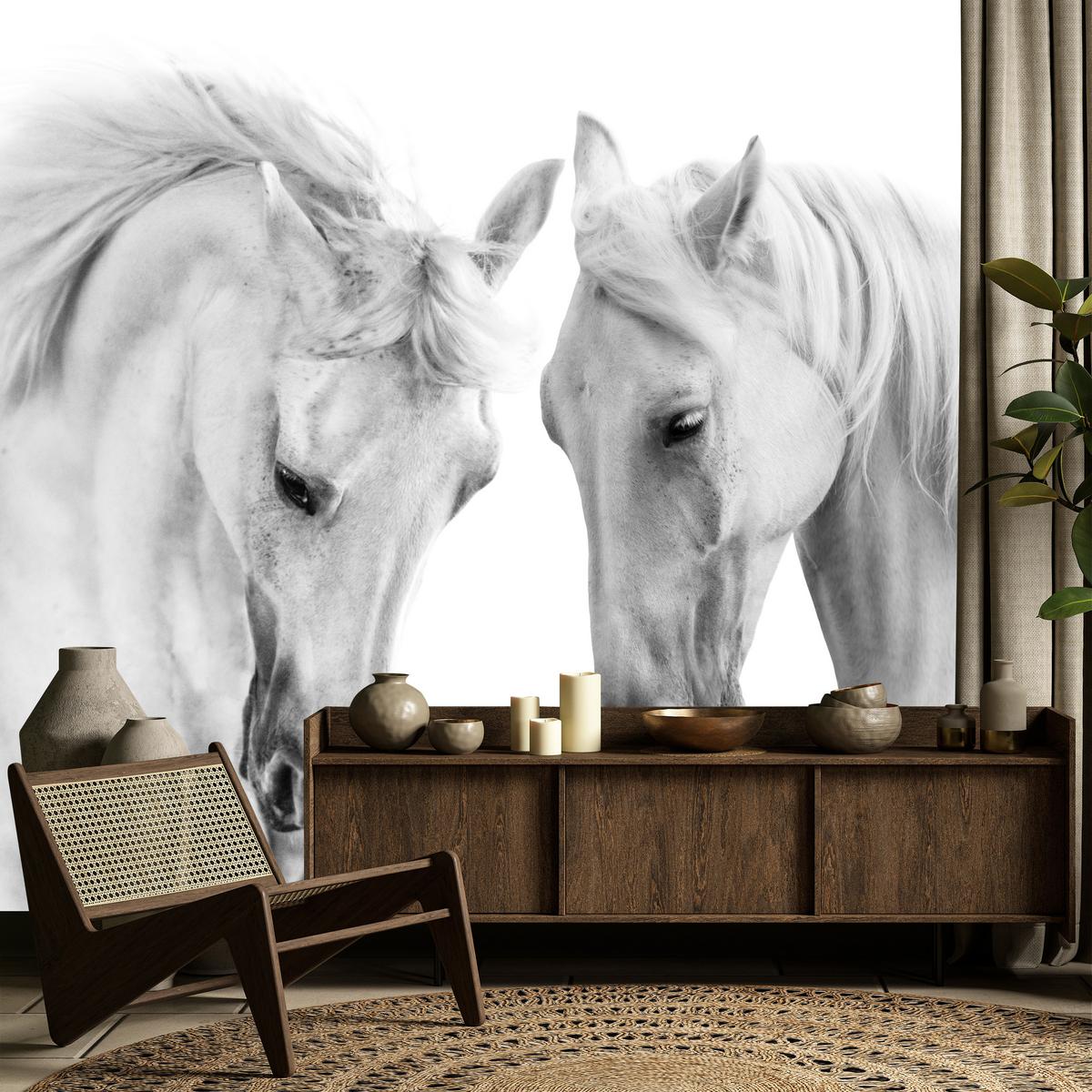 FOTOTAPETE für Schlafzimmer Weiße Pferde Grauer Hintergrund Eleganz Tierwelt 350x256 - Weiß/Grau, Papier (350/256cm) - Muralo