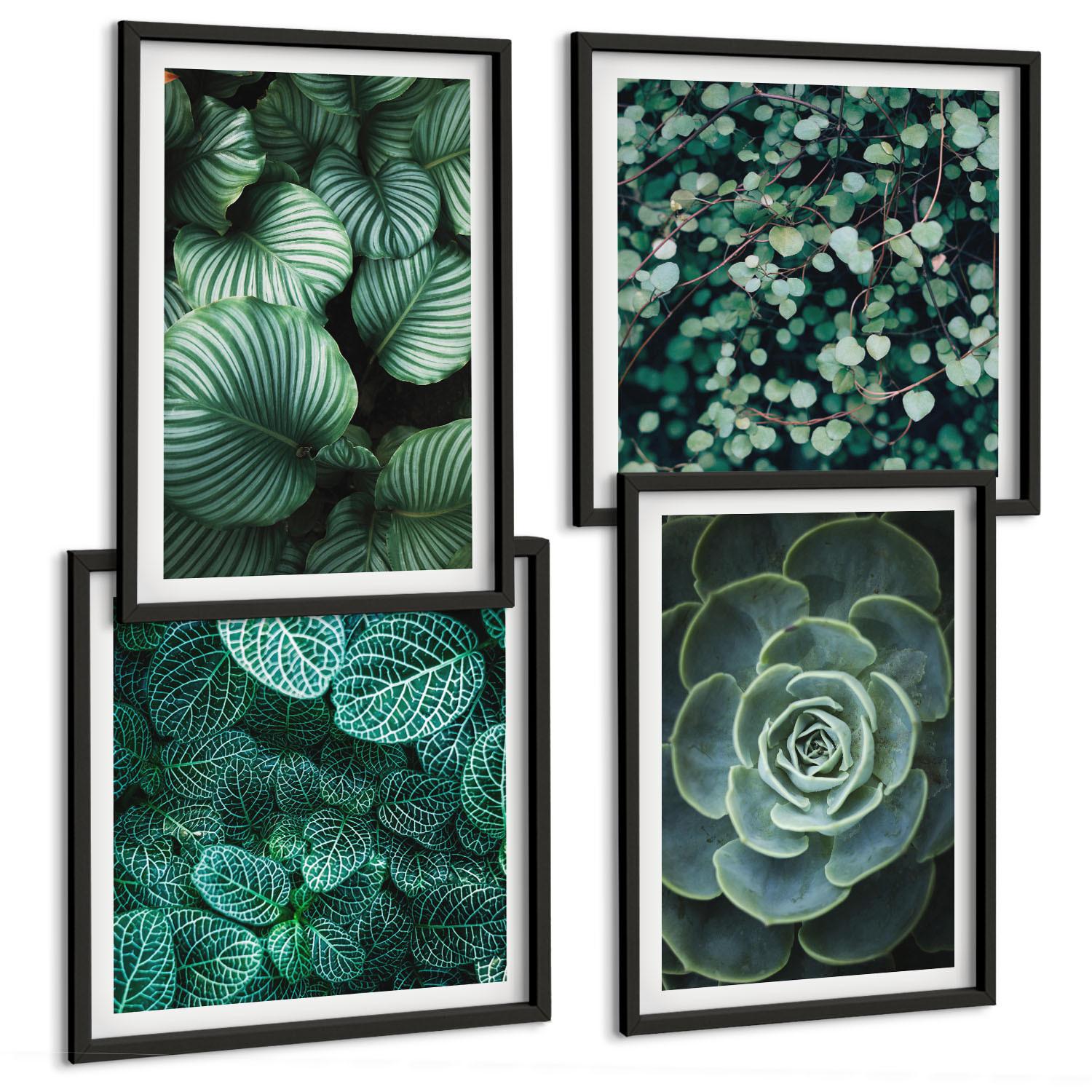 BILDER SET 4er Set - 50x50 cm & 40x60 cm Schwarzer Rahmen - Grüne Blätter von eleganten Sukkulenten - Schwarz, Kunststoff (50/50cm) - TULUP