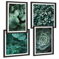 BILDER SET 4er Set - 50x50 cm & 40x60 cm Schwarzer Rahmen - Grüne Blätter von eleganten Sukkulenten - Schwarz, Kunststoff (50/50cm) - TULUP