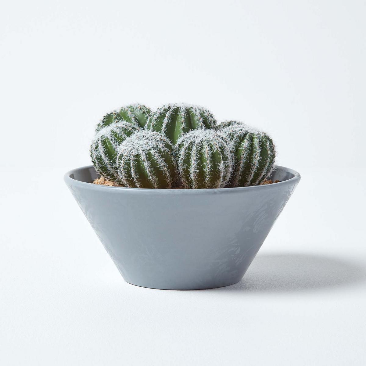 KUNSTPFLANZEN Kakteen-Arrangement im Deko-Topf, 17 cm - Grün, Kunststoff (17cm) - Homescapes