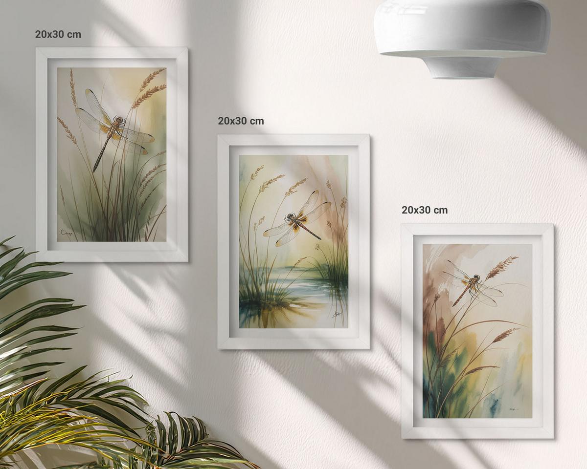 BILDER SET 3er Set - 20x30 cm Weißer Rahmen - Libellen im Gras, Wassermalerei - Weiß, Kunststoff (20/30cm) - TULUP