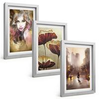 BILDER SET 3er Set - 20x30 cm Silberner Rahmen - Abstraktes Porträt einer Frau mit Blumen und Regen - Silberfarben, Kunststoff (20/30cm) - TULUP