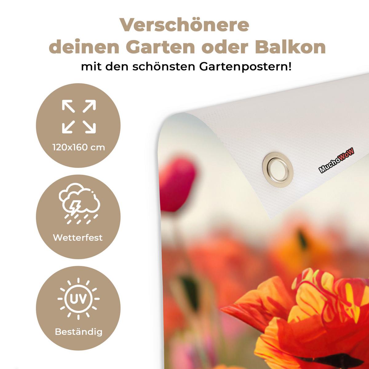 GARTENPOSTER Blumen - Mohnblumen - Farbenfroh - Natur Gartendekoration 120x160 cm - Dunkelorange, Kunststoff (120/160/0.2cm) - OnlyWow