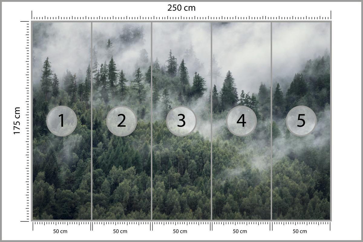 FOTOTAPETE für Schlafzimmer Morgennebel Nadelwald Bäume 250x175 - Weiß/Grau, Papier (250/175cm) - Muralo