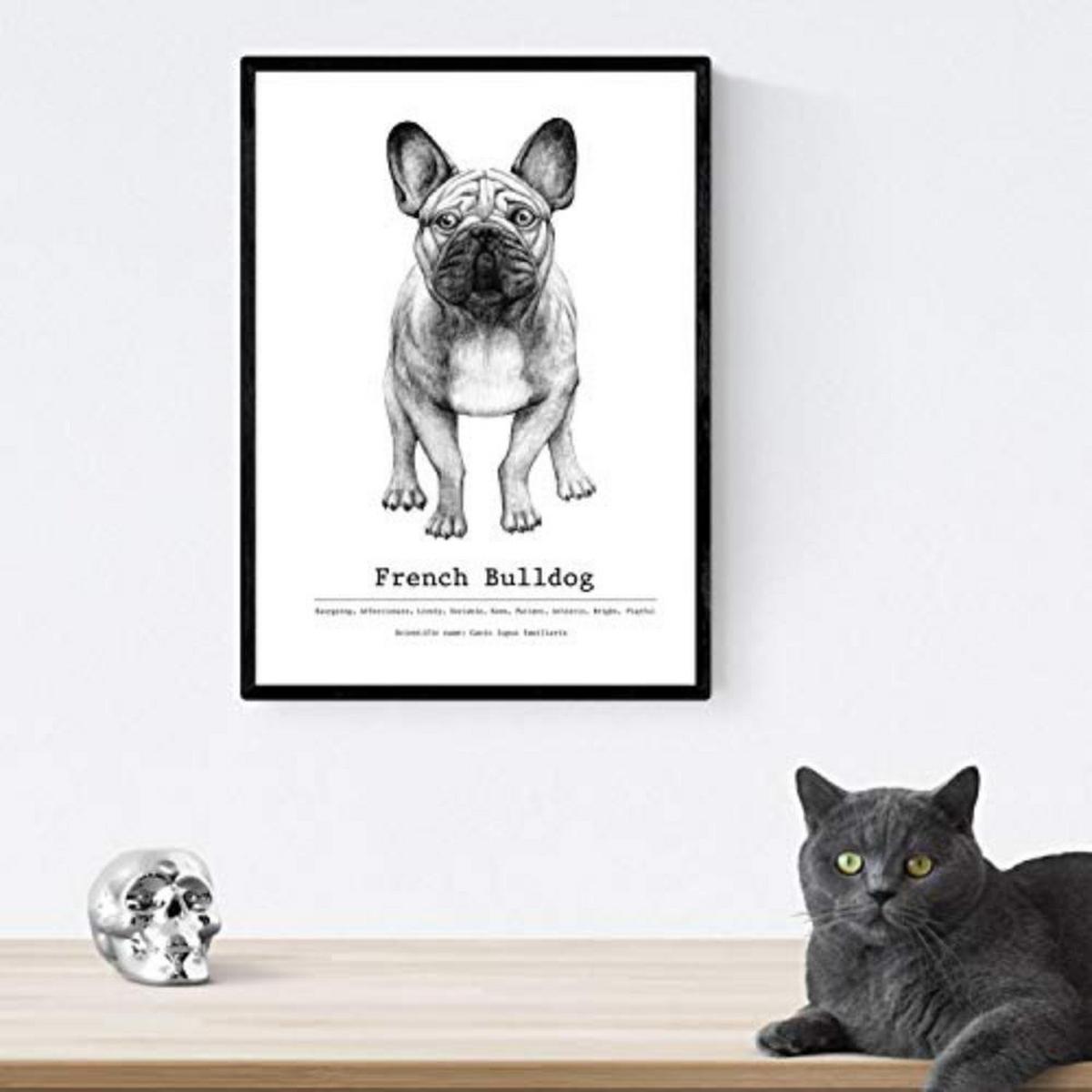 POSTER Set mit 4 Hunderasse A4 Schwarzer Rahmen - Schwarz, Papier (29.7/3cm) - Nacnic