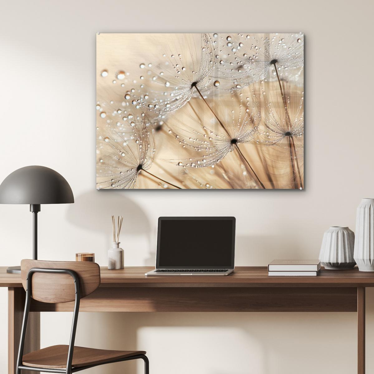 ACRYLGLASBILD Löwenzahn - Abstrakt - Natur - Beige 80x60 cm - Braun, Glas (80/60cm) - MuchoWow